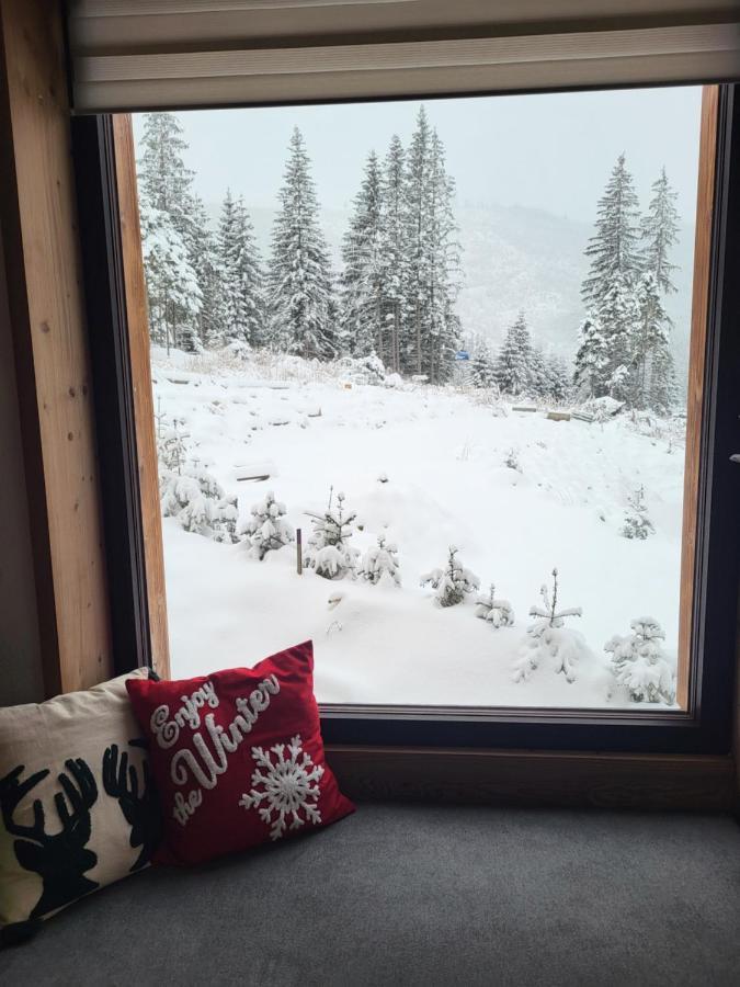 Hillview Jasna Chalet Демяновская долина Экстерьер фото